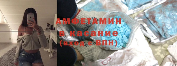 стаф Алзамай