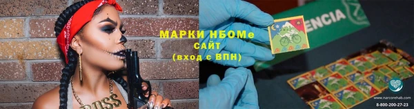 стаф Алзамай