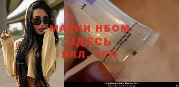 стаф Алзамай