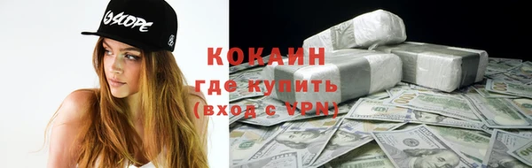 стаф Алзамай