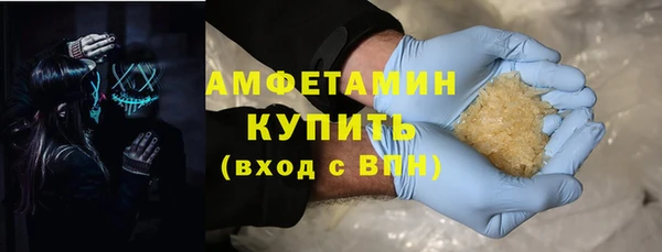 стаф Алзамай