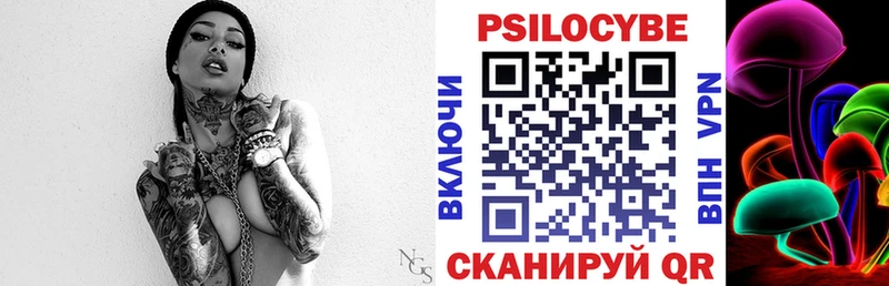 как найти закладки  Зерноград  Псилоцибиновые грибы прущие грибы 